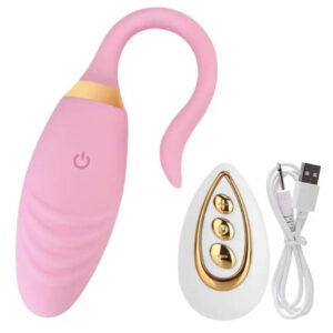 Vibrador Huevo con Control Recargable Playful